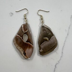 Real Butterfly wing  Earrings. Handmade. Coated in resin